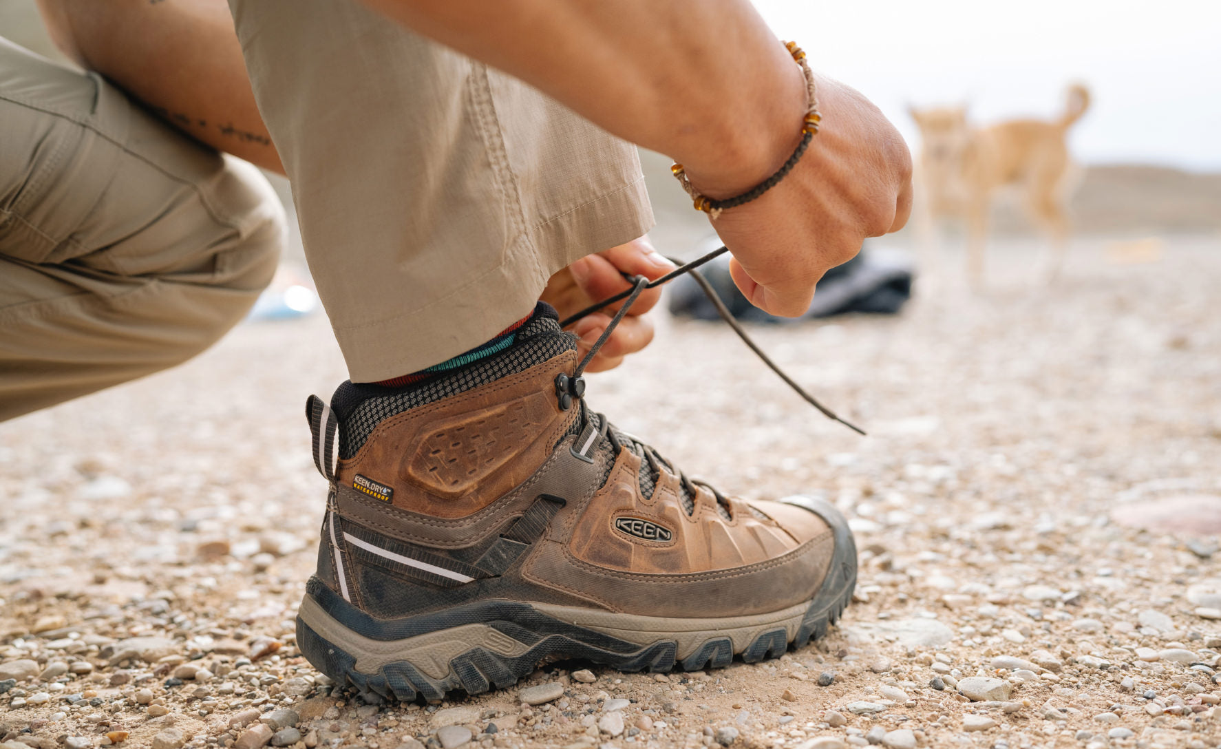 Men's Targhee III Waterproof Mid Wide Black Olive/Golden Brown / Keen / Men's|Women's