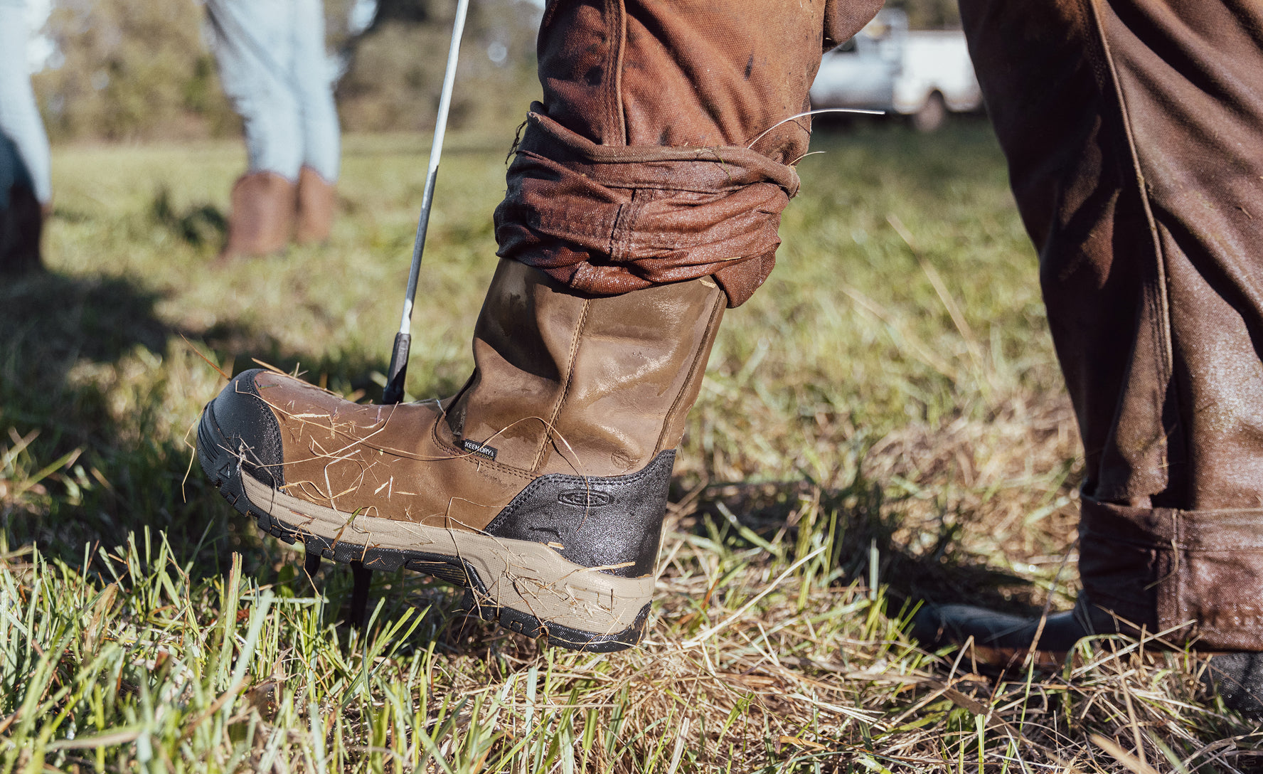 Men's Evanston Pull-On Waterproof Boot (Soft Toe) Bison/Black / Keen / Men's