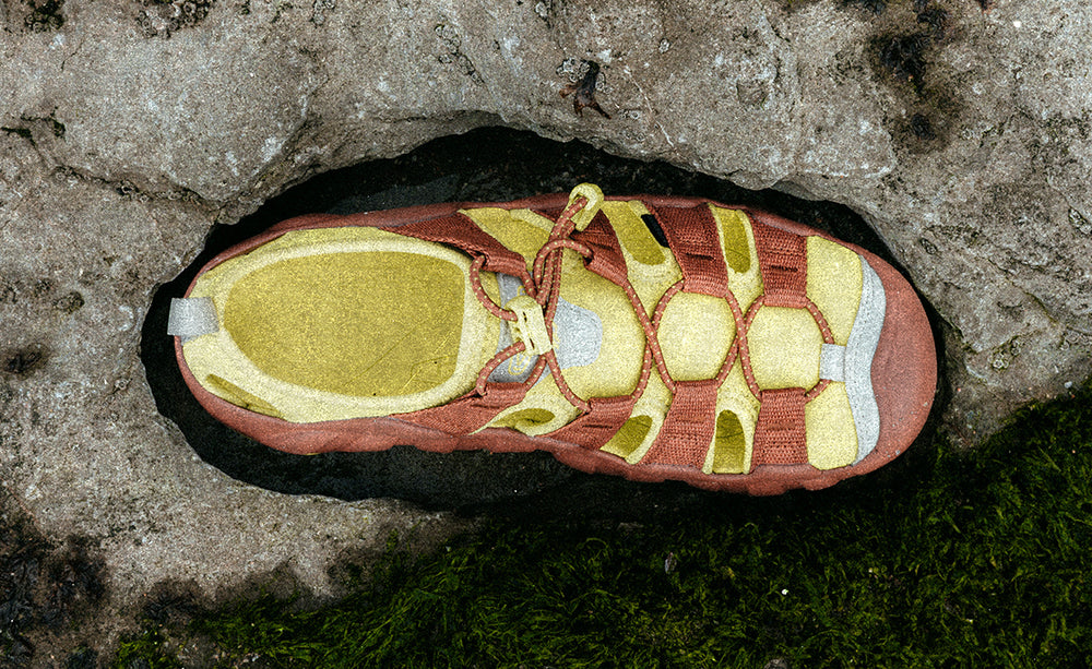Men's Hyperport H2 Sandal x Hiking Patrol Algae Green / Keen / Men's