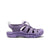 Monochrome/Purple Haze