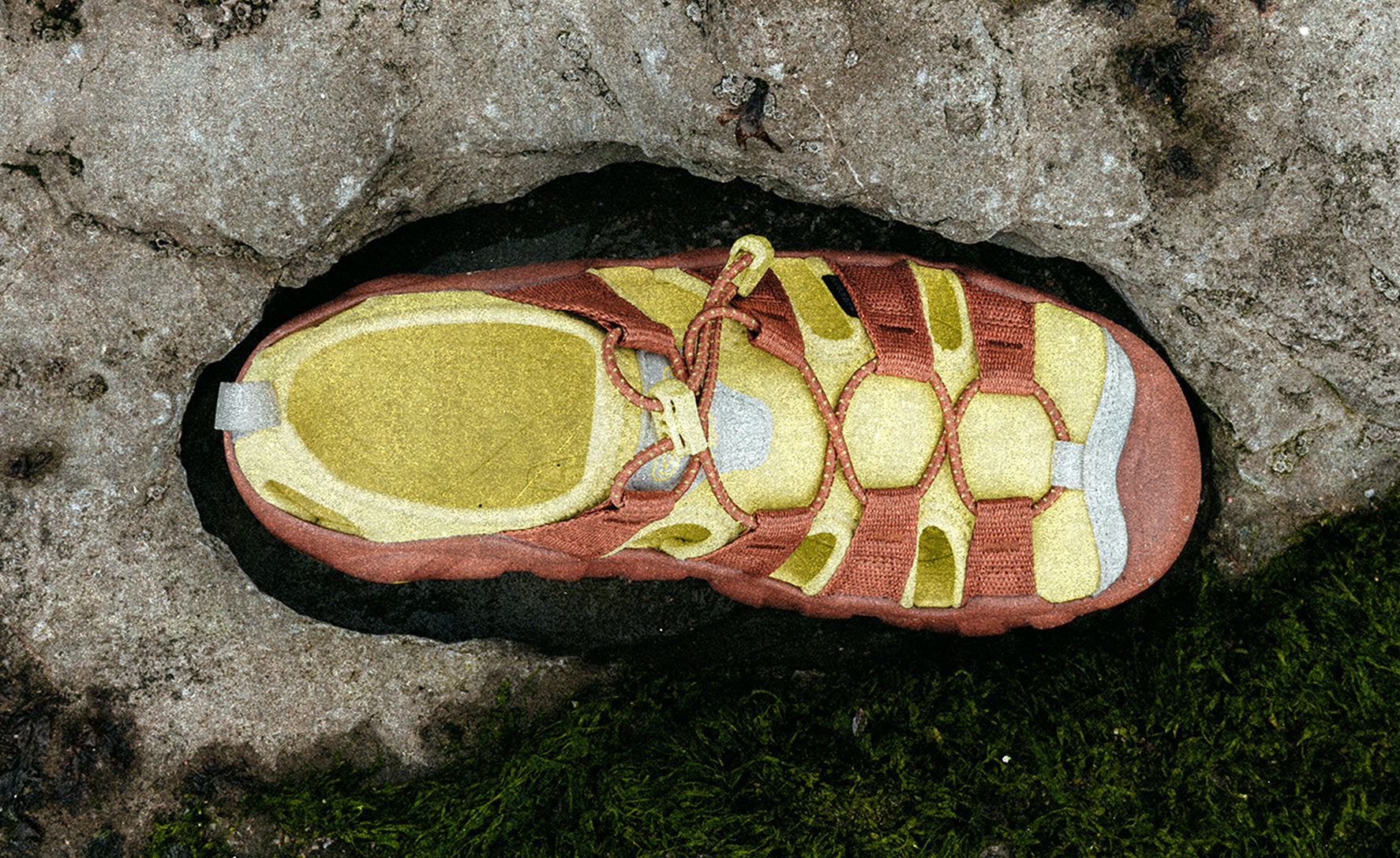 Women's Hyperport H2 Sandal x Hiking Patrol Algae Green / Keen / Women's