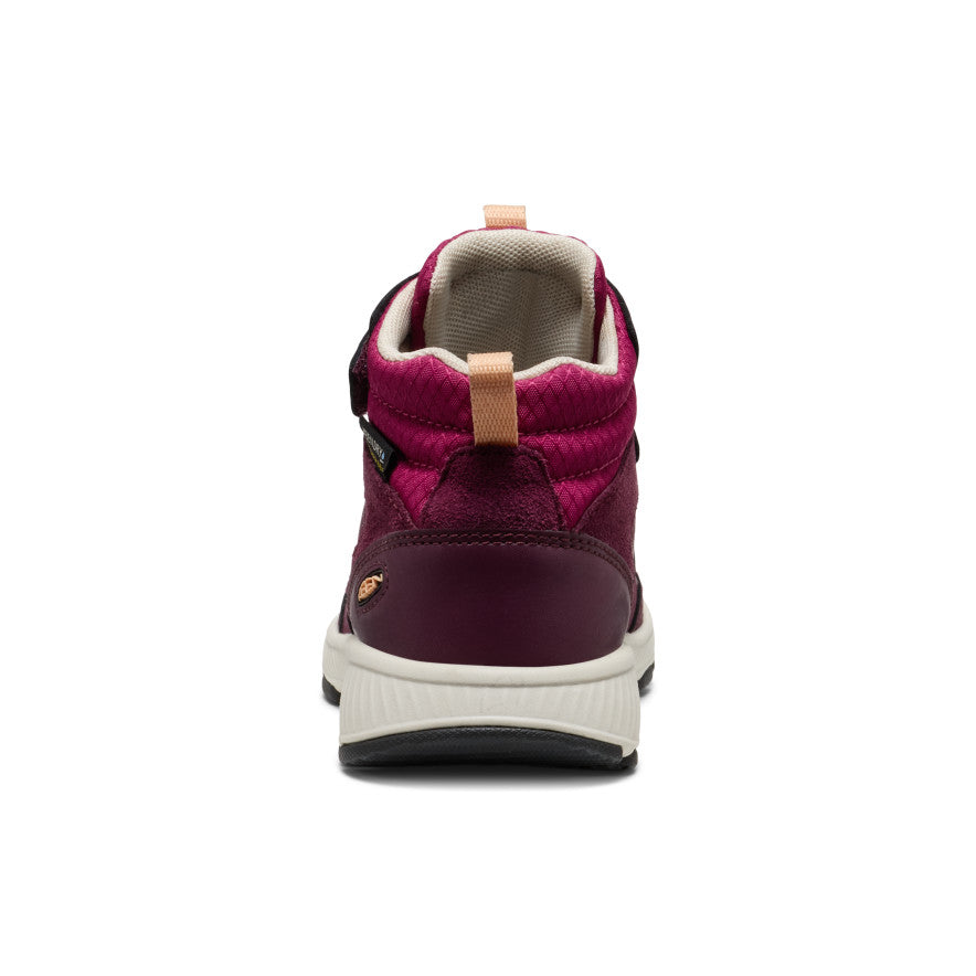 Little Kids' Skua Waterproof Boot Fig/Peach Fuzz / Keen / Kids'