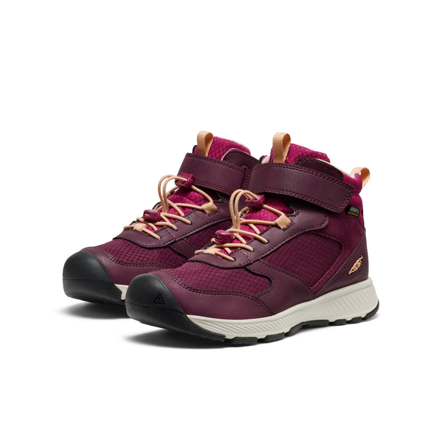 Big Kids' Skua Waterproof Boot Fig/Peach Fuzz / Keen / Kids'