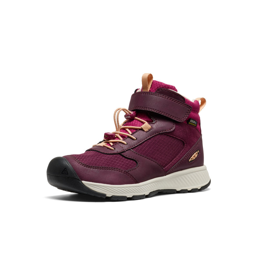 Big Kids' Skua Waterproof Boot Fig/Peach Fuzz / Keen / Kids'