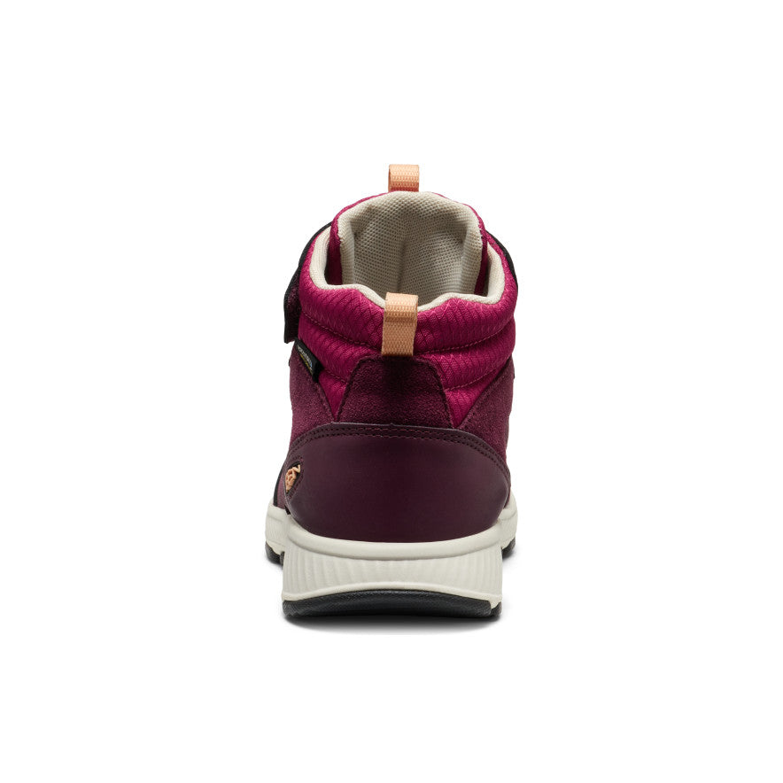 Big Kids' Skua Waterproof Boot Fig/Peach Fuzz / Keen / Kids'