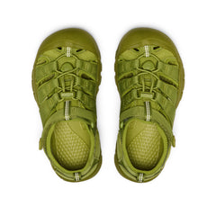 Big Kids' Newport H2 Golden Cypress Monochrome / Keen / Kids'