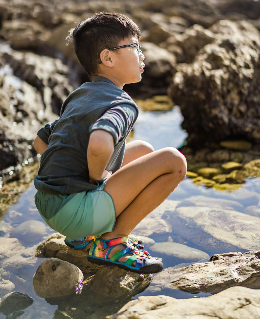 Little Kids' Seacamp II CNX Daisies/Marina / Keen / Kids'