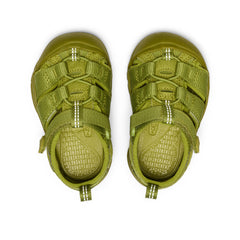 Toddlers' Newport H2 Golden Cypress Monochrome / Keen / Kids'