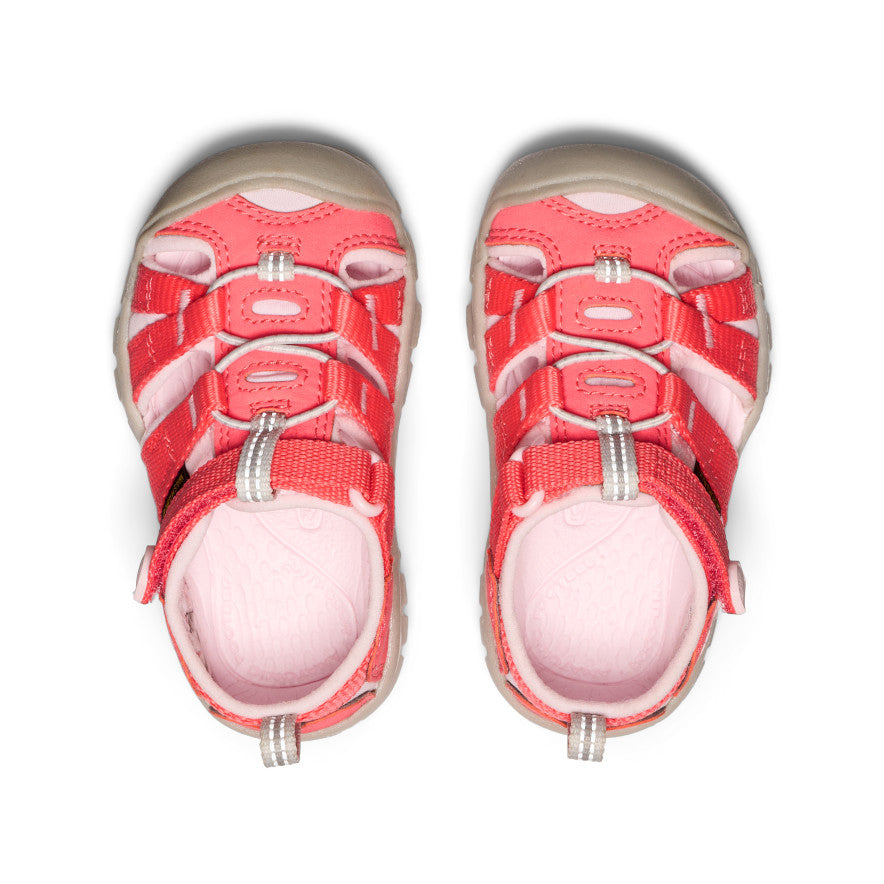 Toddlers' Seacamp II CNX Dubarry/Giggle Pink / Keen / Kids'